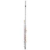 Selmer SFL301R Concert Open Hole C Flute C foot, Offset G