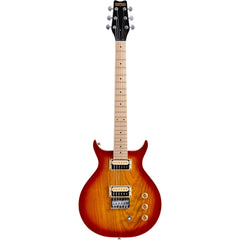 Washburn R5TS Wing Series Raven Electric Guitar w/Gigbag. Tobacco Sunburst