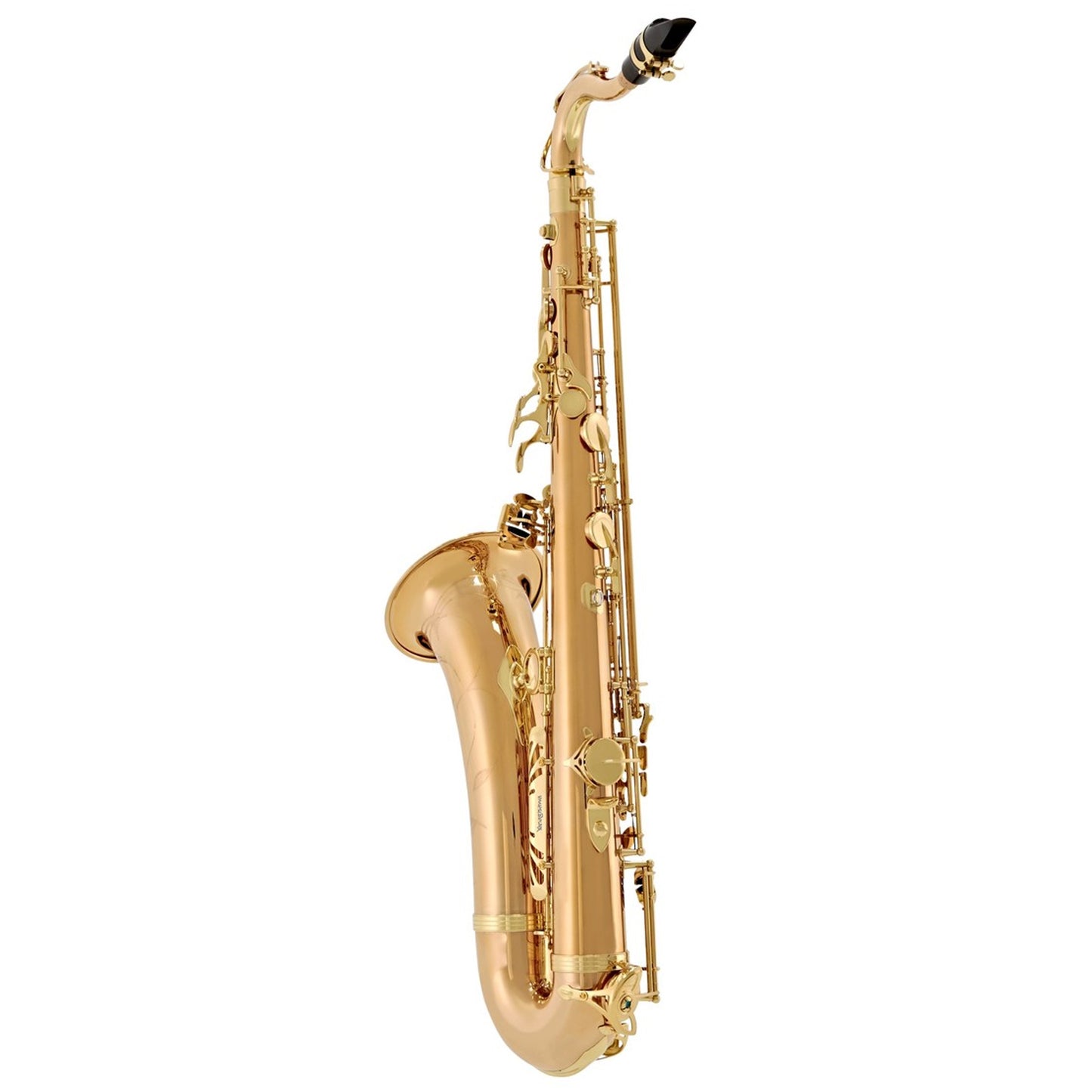 Yanagisawa TWO2 Tenor Saxophone Bronze