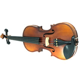 D'Luca Solid Wood Hand-Made Ebony Violin 4/4 Full Size