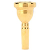 Bach Classic Trombone Large Shank Gold Plated Mouthpiece 6.5A