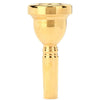 Bach Classic Trombone Large Shank Gold Plated Mouthpiece 5GS