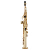 Selmer SSS311 Student Soprano Bb Saxophone