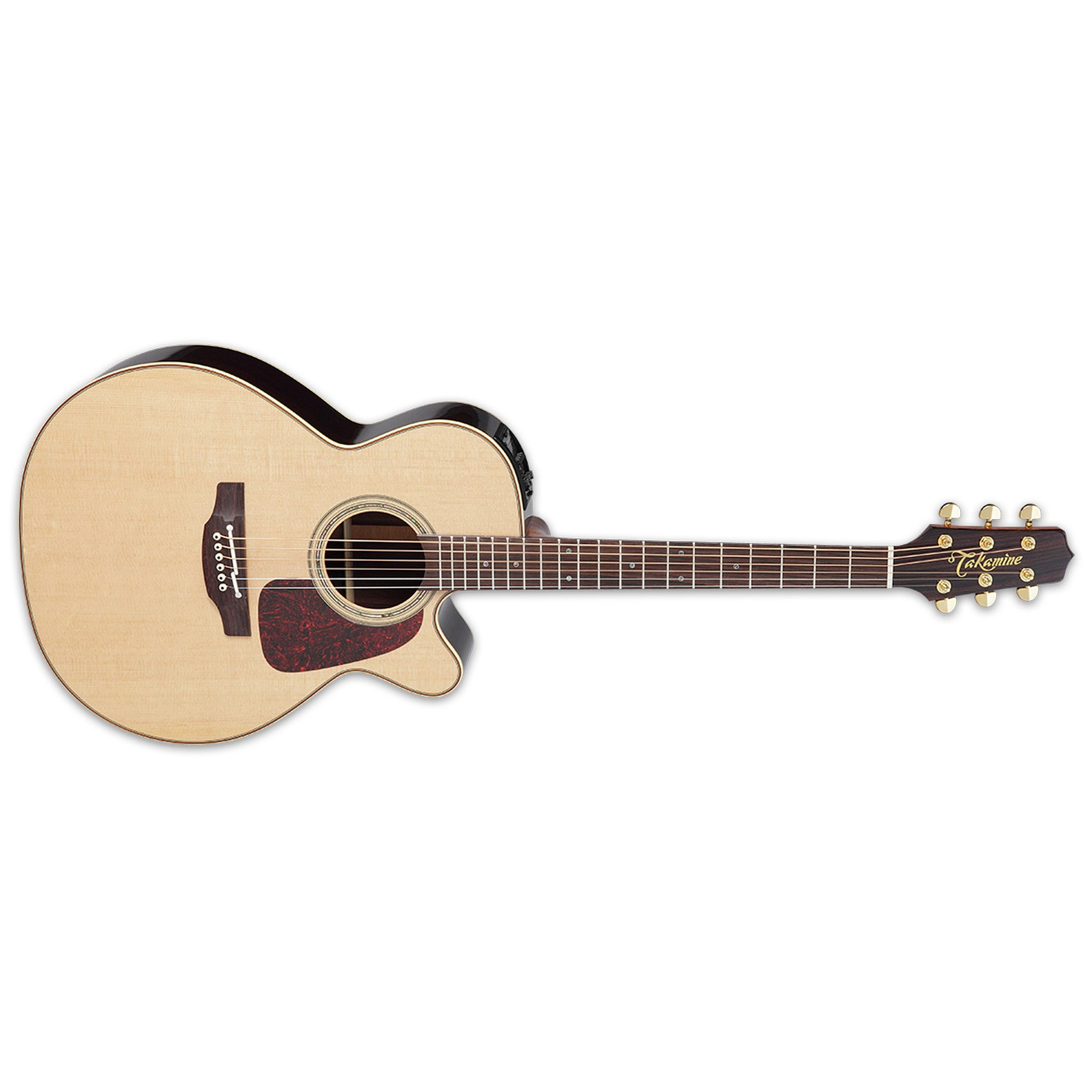 Takamine P5NC Pro 5 Acoustic-Electric Guitar W/Semi-Hard Case