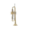 Bach Stradivarius Series 50th Anniversary Bb Trumpet Outfit, Lacquer