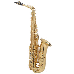 Selmer Axos Seles Professional Alto Saxophone Outfit, Lacquered body