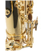 Selmer Axos Seles Professional Alto Saxophone Outfit, Lacquered body