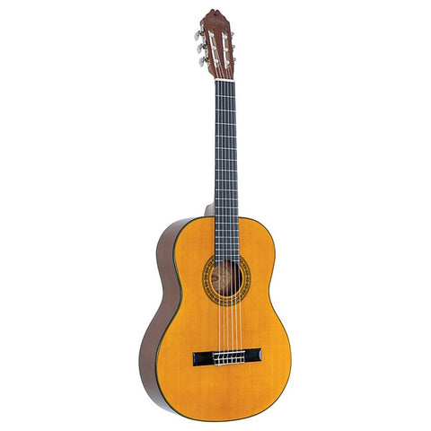 Washburn Classical Guitar