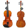 D'Luca Strauss Professional Violin Outfit 4/4 with SKB Case, Strings and Tuner