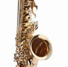 Fever Beginner Student Eb Alto Saxophone Gold with Case