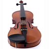 D'Luca Orchestral Series 1/16 Violin Outfit