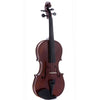 D'Luca POD01 Orchestral Series Violin Outfit - 4/4