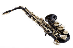 Hawk Colored Student Black Alto Saxophone with Case, Mouthpiece and Reed