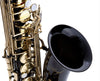 Hawk Colored Student Black Alto Saxophone with Case, Mouthpiece and Reed