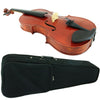 D'Luca PDZ02 14-Inch Orchestral Series Viola Outfit