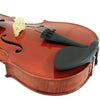 D'Luca PDZ02 14-Inch Orchestral Series Viola Outfit