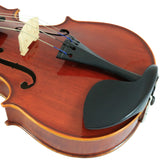 D'Luca CA400VA 15.5-Inch Orchestral Series Handmade Viola Outfit