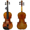 D'Luca Strauss 500 Symphony Violin 4/4 with SKB Molded Case, Strings and Tuner