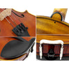 D'Luca Strauss 500 Symphony Violin 4/4 with SKB Molded Case, Strings and Tuner