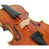 D'Luca Strauss 500 Symphony Violin 4/4 with SKB Molded Case, Strings and Tuner