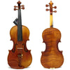 D'Luca Strauss 900 J.S. Antique Finish Violin 4/4 with SKB Molded Case, Evah Pirazzi Strings and Tuner