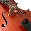 D’Luca Student Ebony Fitted Cello With Padded Gig Bag, Bow, Rosin, 4/4 Full Size