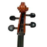 D’Luca Student Ebony Fitted Cello With Padded Gig Bag, Bow, Rosin, 1/2 Half Size