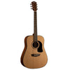 Washburn Apprentice Dreadnought Acoustic Guitar Natural with case