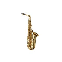 Yanagisawa Professional Alto Saxophone, Brass