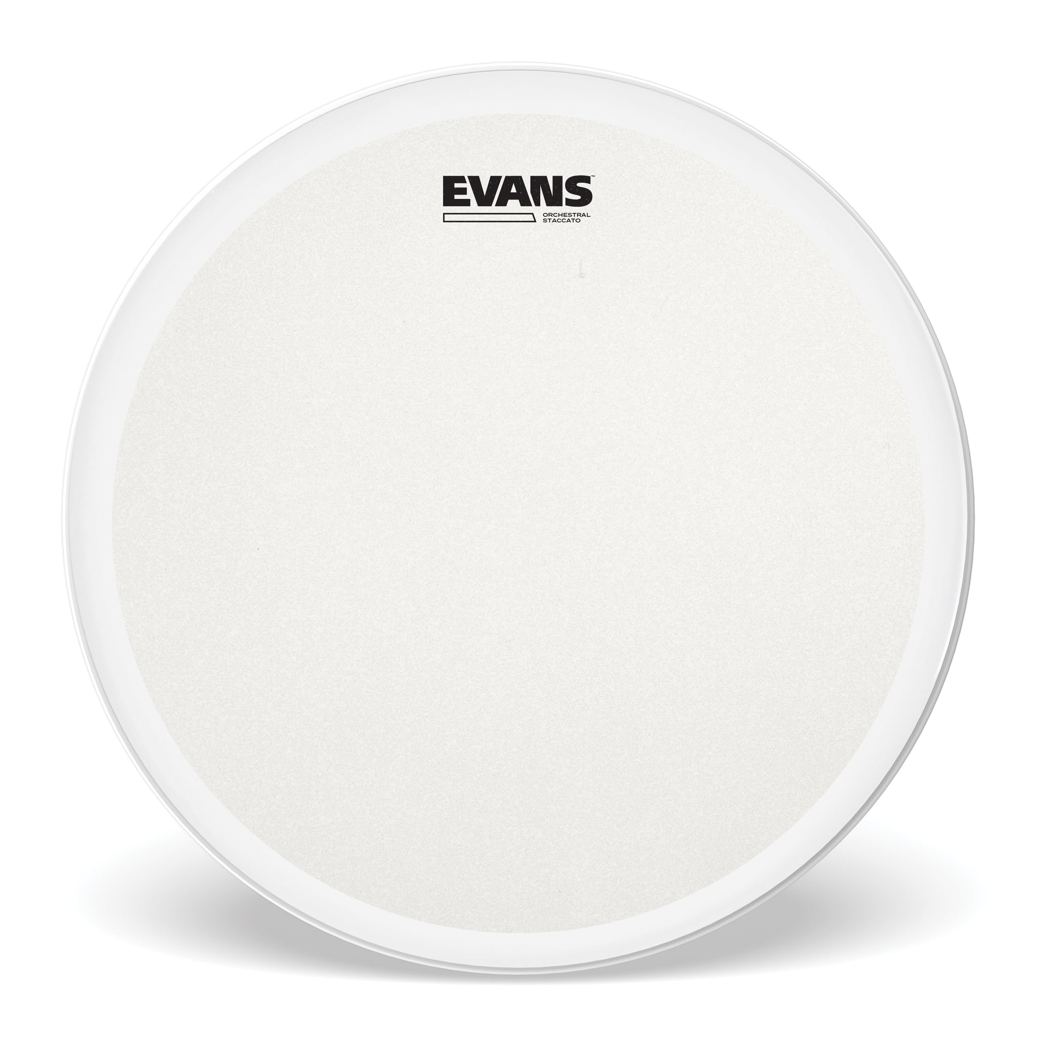 Evans Orchestral Stacatto Coated White Snare Drum Head, 14 Inch
