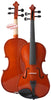 D'Luca Meister Student Violin Outfit 1/4