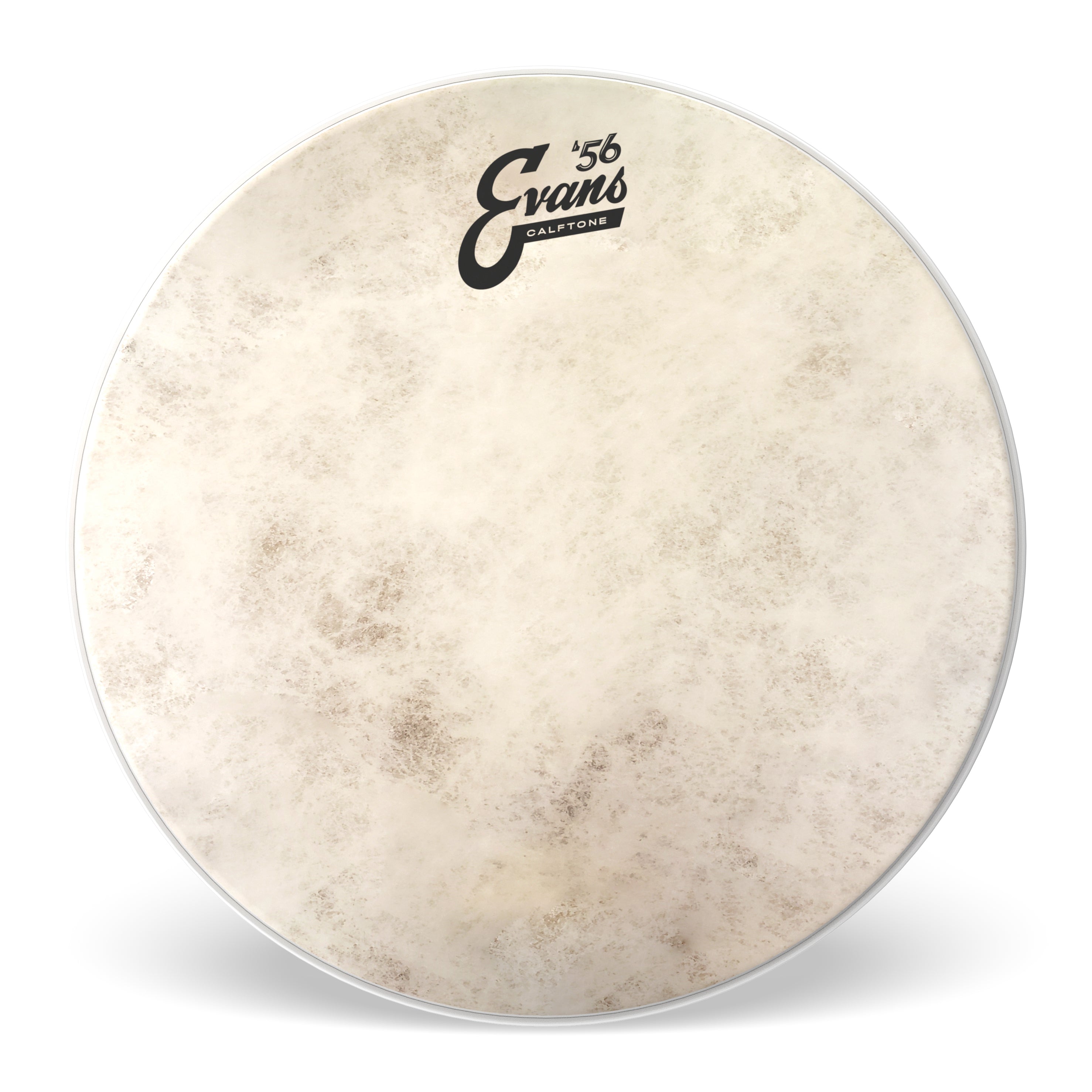 Evans 14” Calftone Snare Tune Up Kit