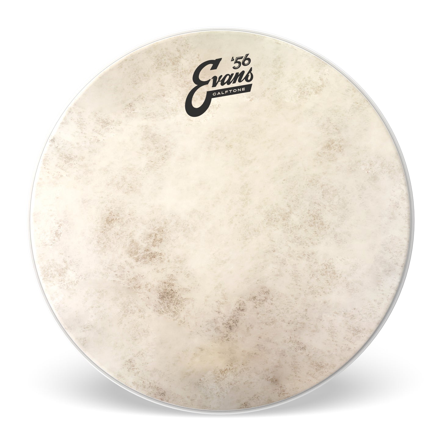 Evans 14” Calftone Snare Tune Up Kit