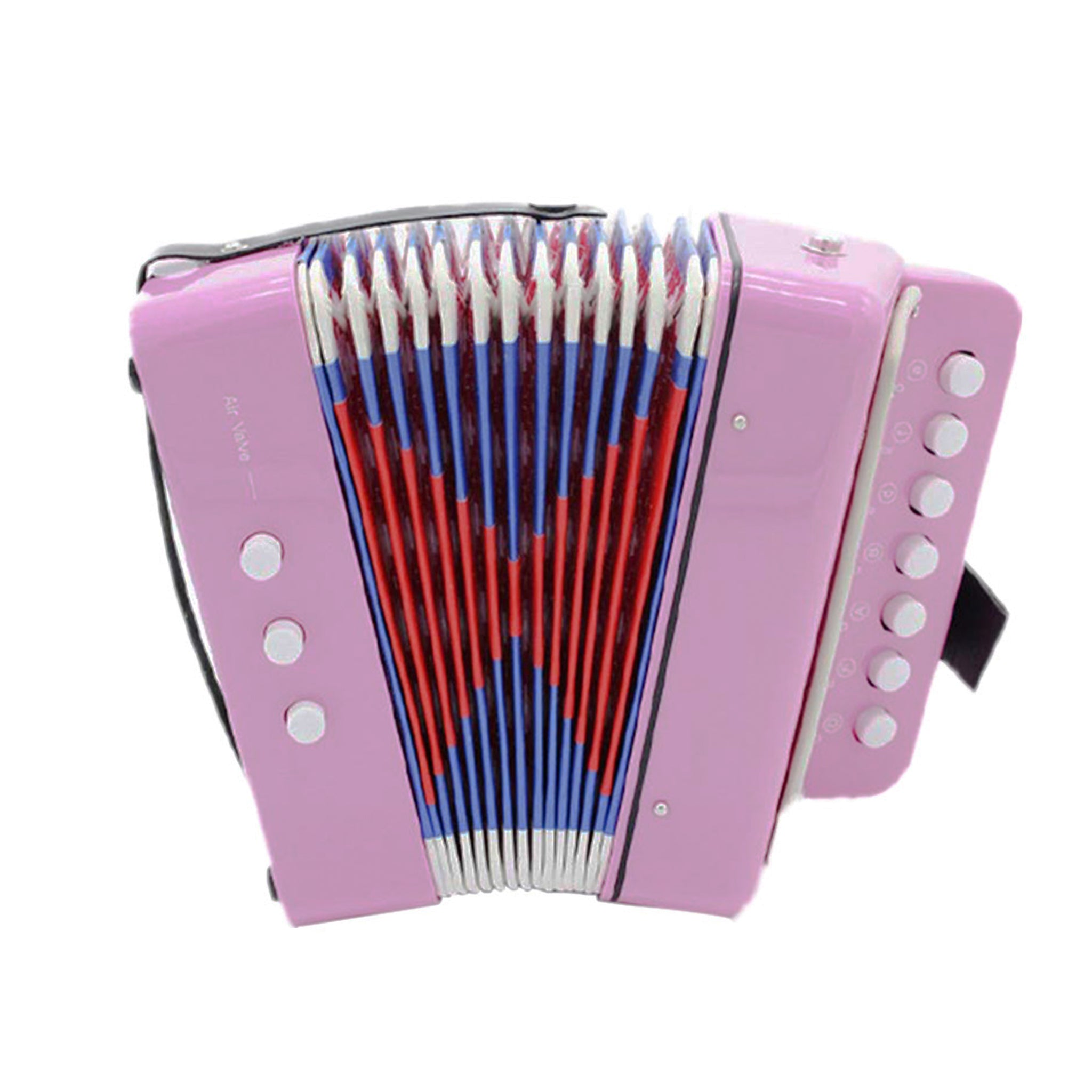 D’Luca Child Button Accordion Pink