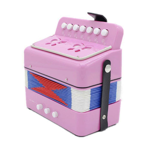 D’Luca Child Button Accordion Pink