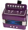 D’Luca Child Button Accordion Purple