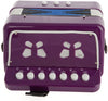 D’Luca Child Button Accordion Purple