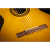 Takamine GC1CE Classical Cutaway Acoustic Electric Guitar, Natural Gloss