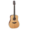 Takamine GD20 Dreadnought Acoustic Guitar, Natural Satin