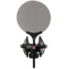 sE Electronics Shockmount and Pop Filter for X1 Series and SE2200