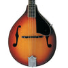 Washburn M1S Americana Series A-Style Mandolin. Tobacco Sunburst