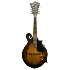 Washburn Mandolin Kit F Style