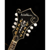 Washburn M3SWETWRK F Style Florentine Cutaway Mandolin