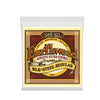 Ernie Ball Earthwood Regular 80/20 Bronze Acoustic Guitar Strings - 13-56 Gauge