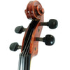 D'Luca PDZ02 15-Inch Orchestral Series Viola Outfit