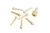 Planet Waves Injected Molded Bridge Pins with End Pin, Set of 7, Ivory with Black Dot