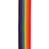 D'Addario Auto Lock Polypro Guitar Strap, Rainbow