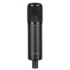sE Electronics Multi Pattern Large Diaphragm Condenser Mic & Shockmount & Filter