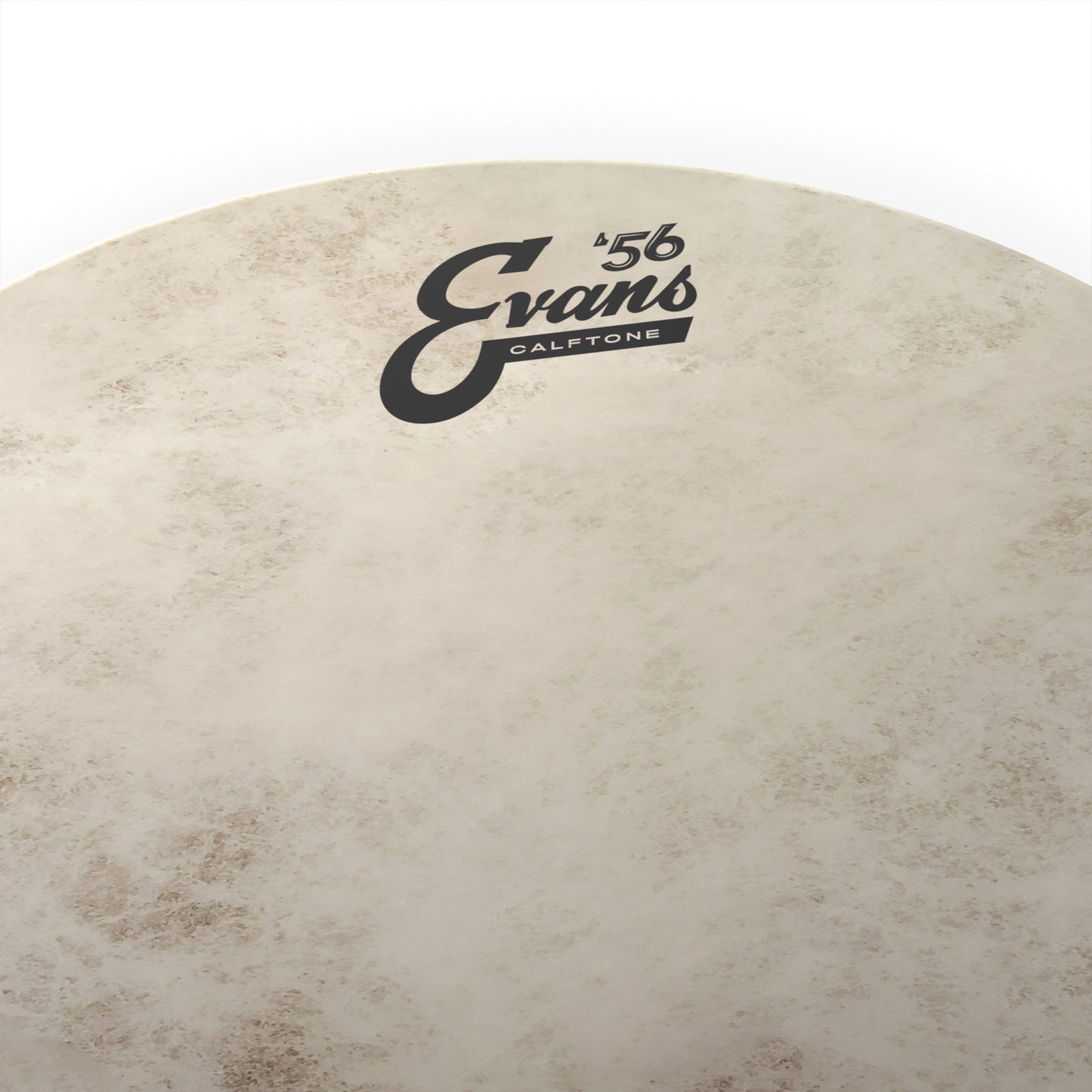 Evans Calftone Tom Batter, 16 Inch