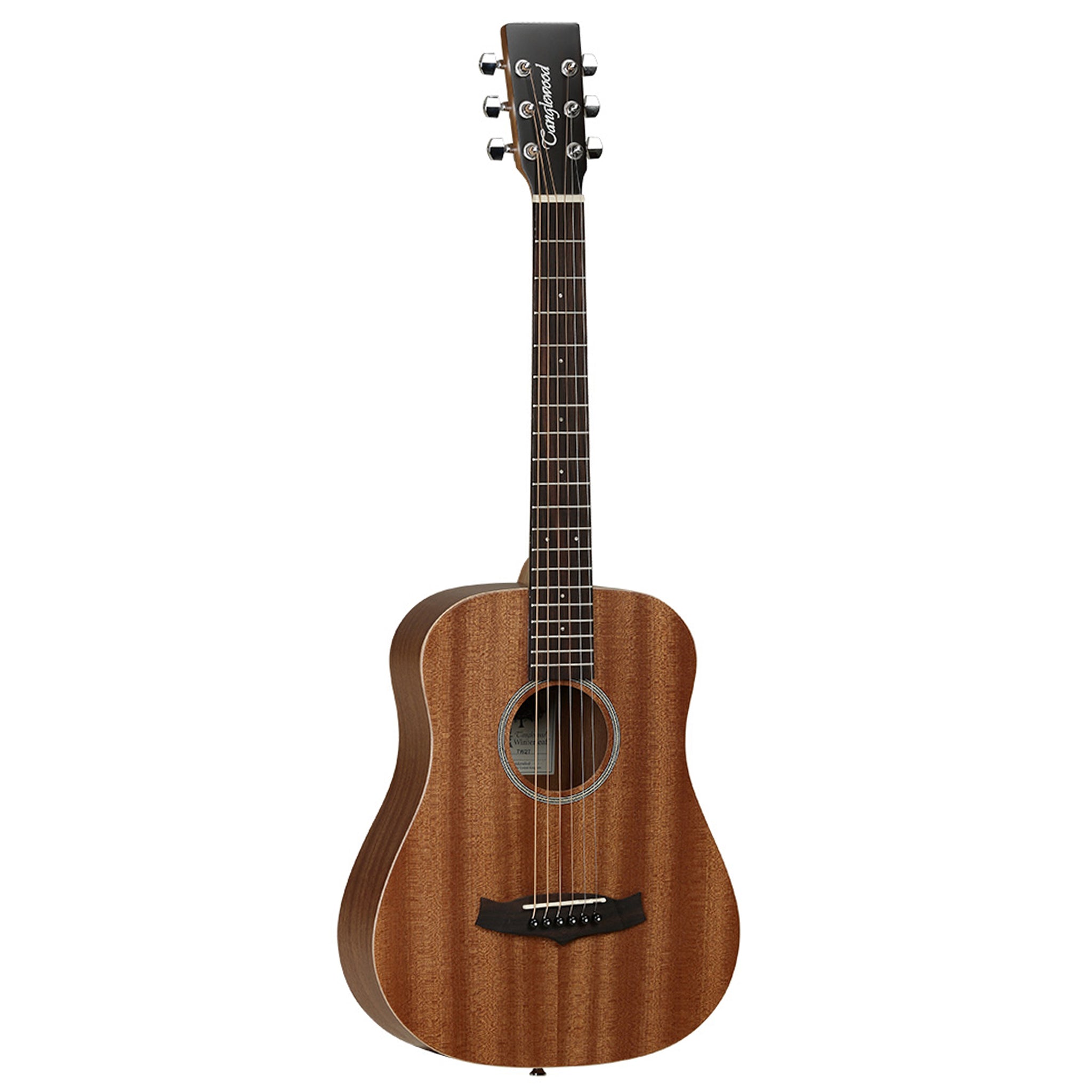 Tanglewood Winterleaf Acoustic Guitar 